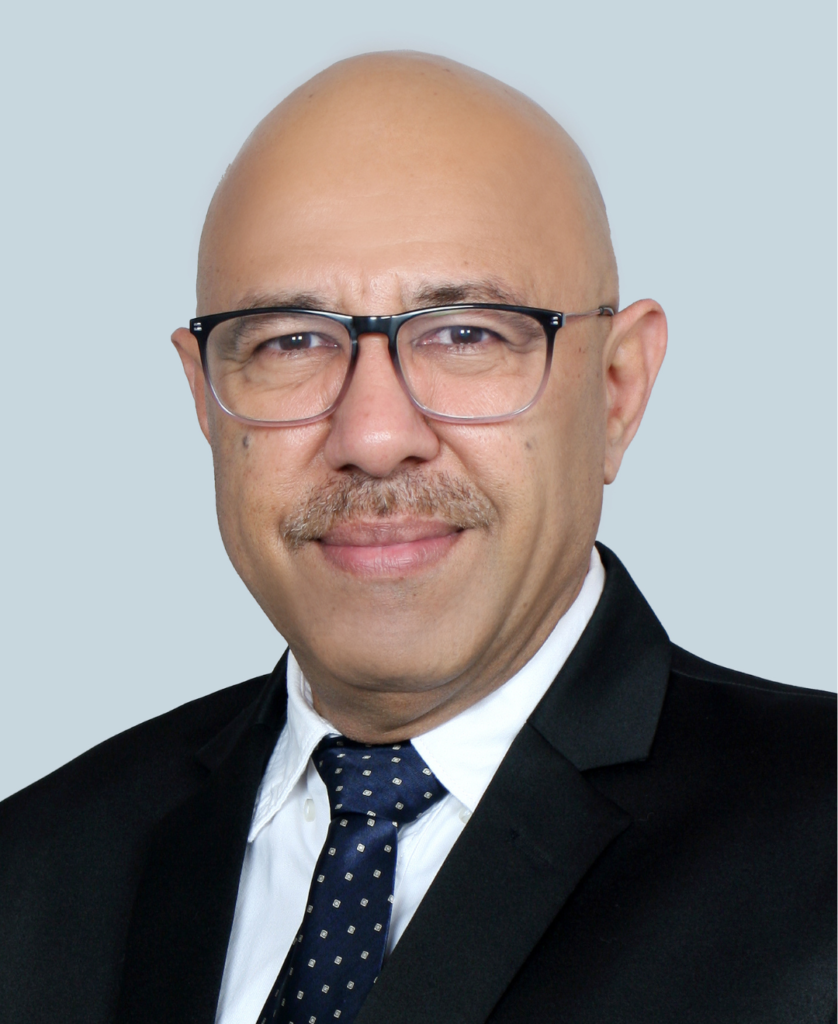 Hitender Kundu – CEO & Director | ELV Systems